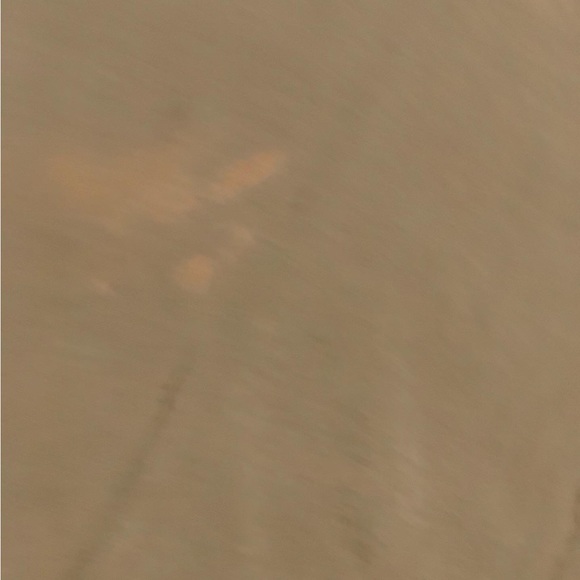 1996 Lifeform Iguana Protect the Wildlife Long Sleeve - Picture 7 of 10